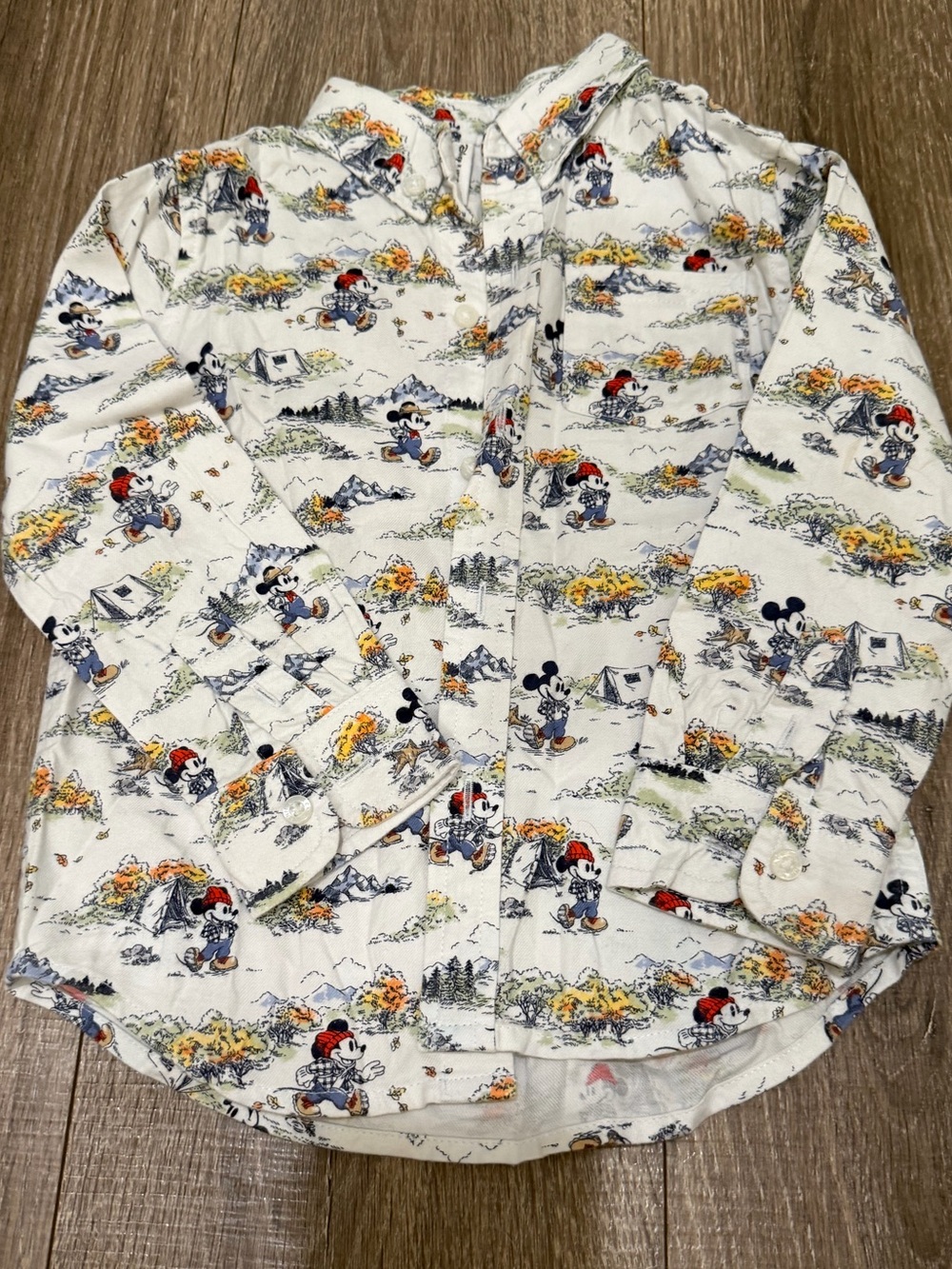 Janie and Jack Mickey Mouse Camping Print Button-Up Shirt
